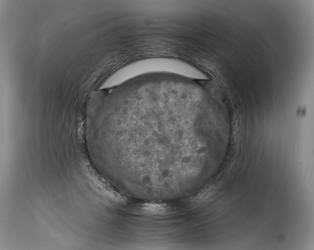 X0000114560457200911091222