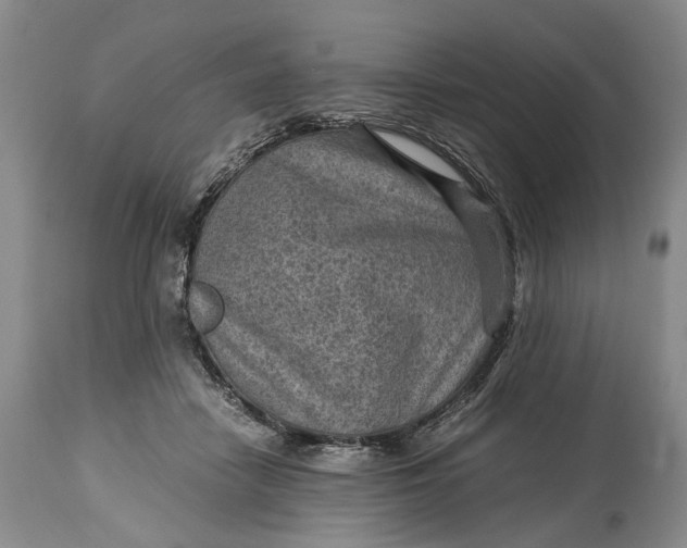 X0000114560458200911091222