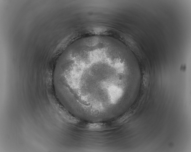 X0000114560461200911091222