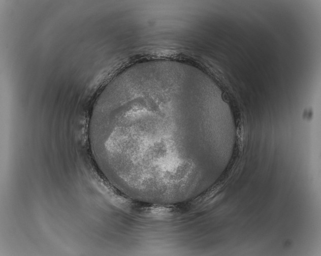 X0000114560462200911091222