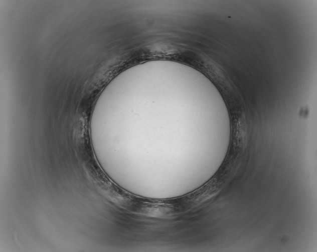 X0000114560463200911091222