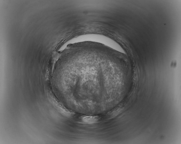 X0000114560465200911091222
