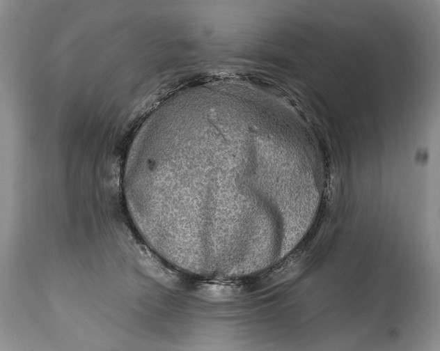 X0000114560466200911091222
