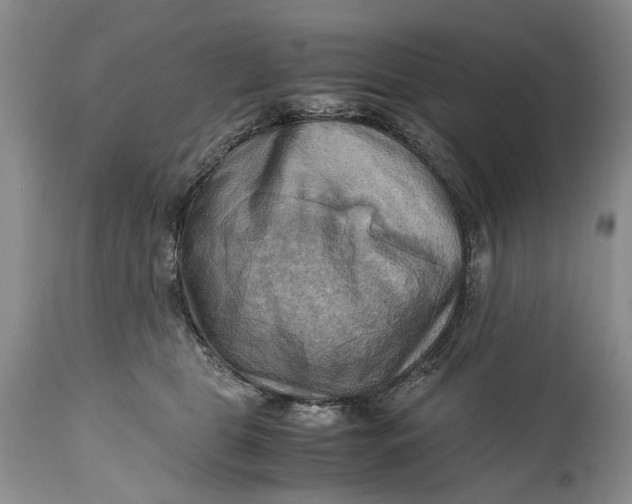 X0000114560469200911091222
