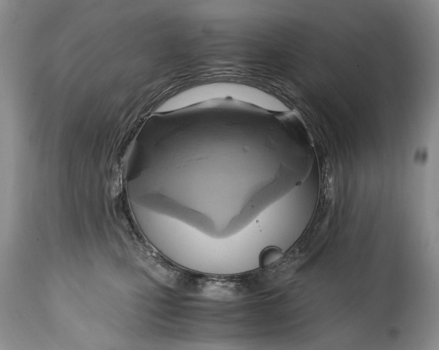 X0000114560471200911091222