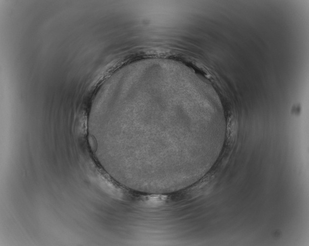 X0000114560474200911091222