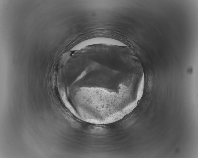 X0000114560475200911091222