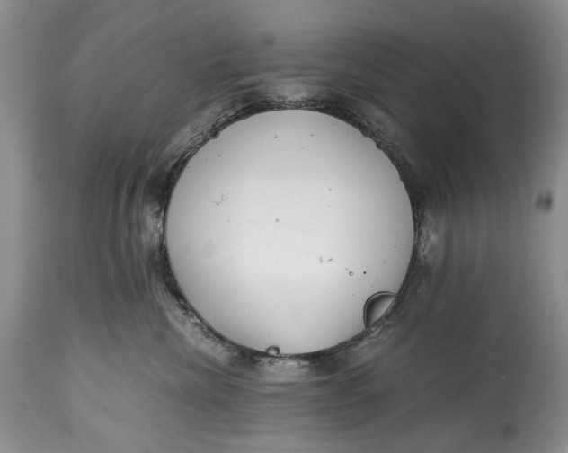 X0000114560476200911091222