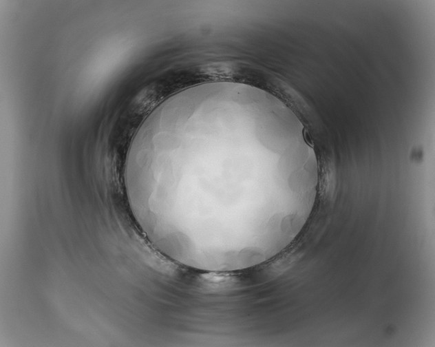 X0000114560477200911091222