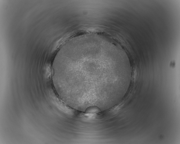 X0000114560478200911091222