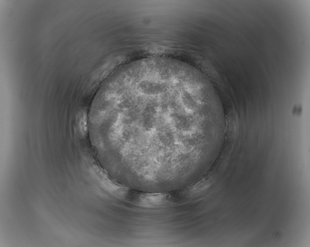 X0000114560479200911091222