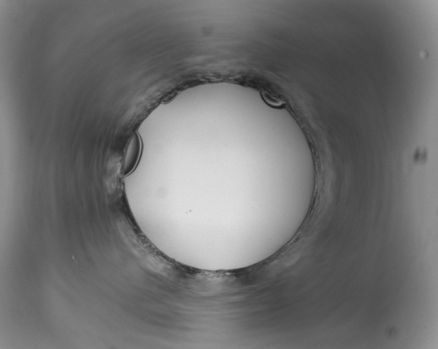 X0000114560480200911091222