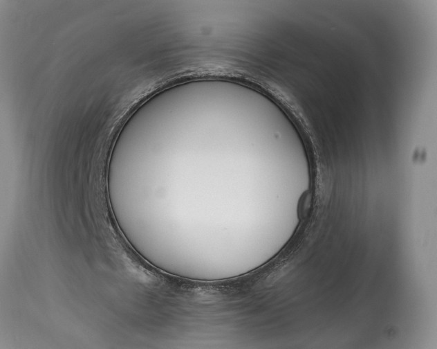 X0000114560481200911091221