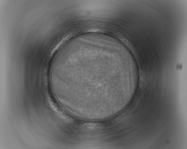 X0000114560482200911091221