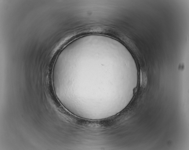 X0000114560483200911091221