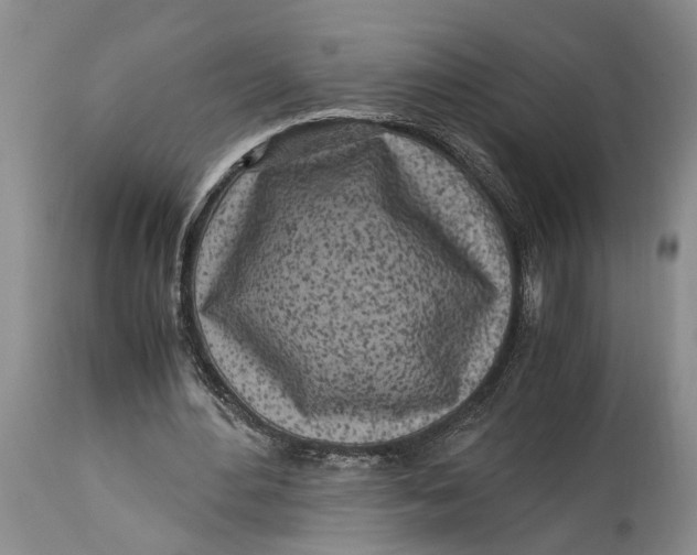 X0000114560484200911091221