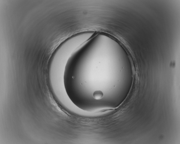 X0000114560485200911091221