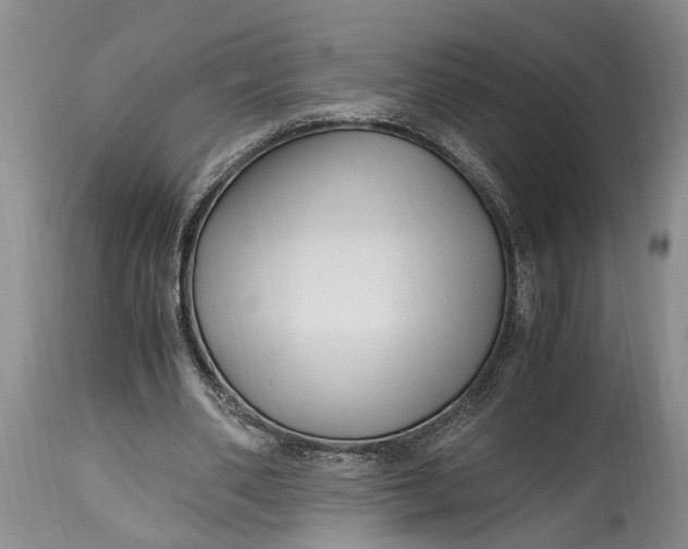 X0000114560486200911091221