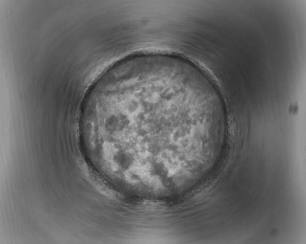 X0000114560487200911091221