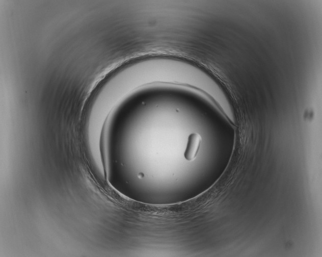 X0000114560488200911091221