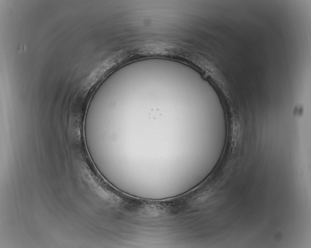X0000114560489200911091221