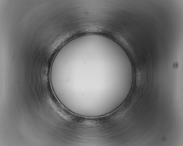 X0000114560490200911091221