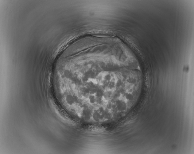 X0000114560491200911091221
