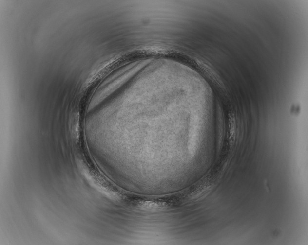 X0000114560494200911091221