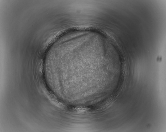 X0000114560495200911091221