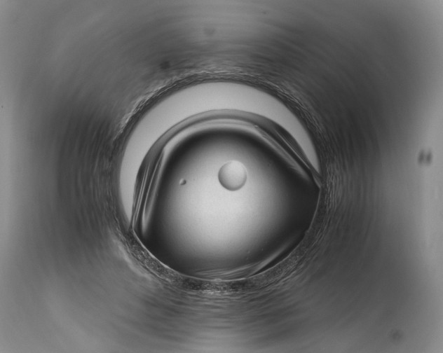 X0000114560496200911091221