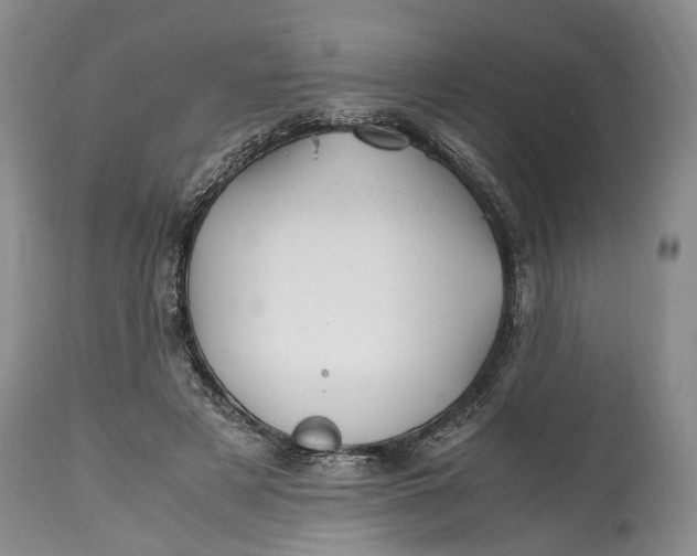 X0000114560497200911091221
