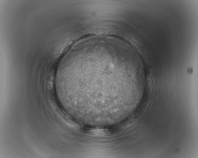 X0000114560499200911091221