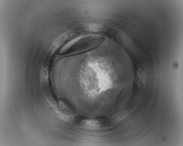X0000114560500200911091221