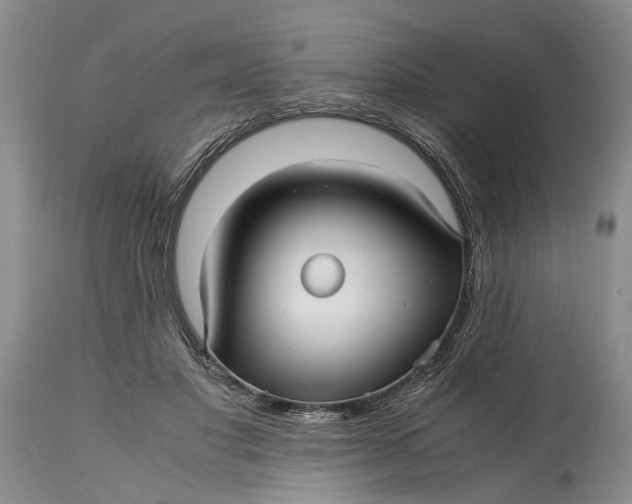 X0000114560501200911091221