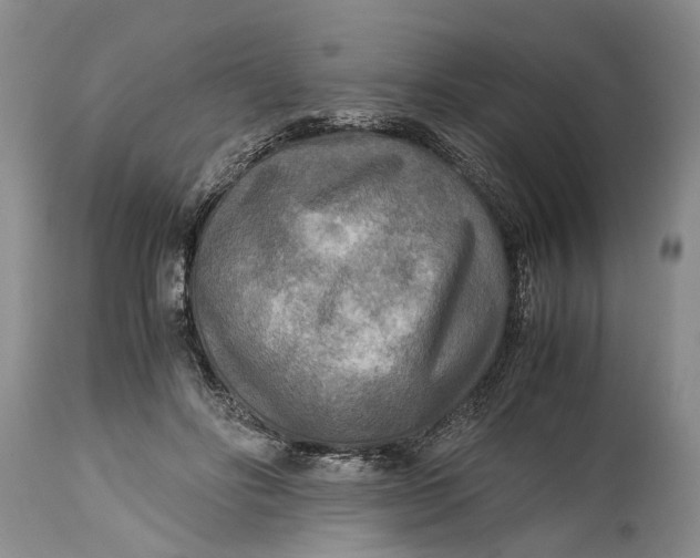X0000114560502200911091221