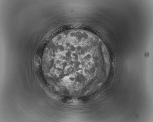 X0000114560503200911091221