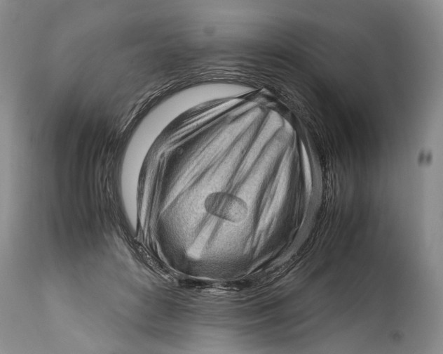 X0000114560504200911091221