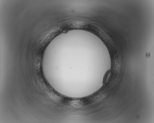X0000114560505200911091221