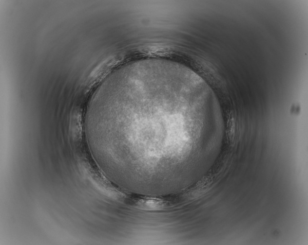 X0000114560506200911091221