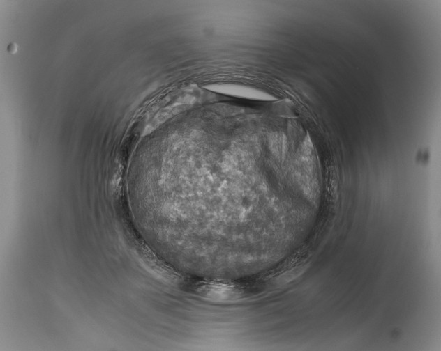 X0000114560507200911091221