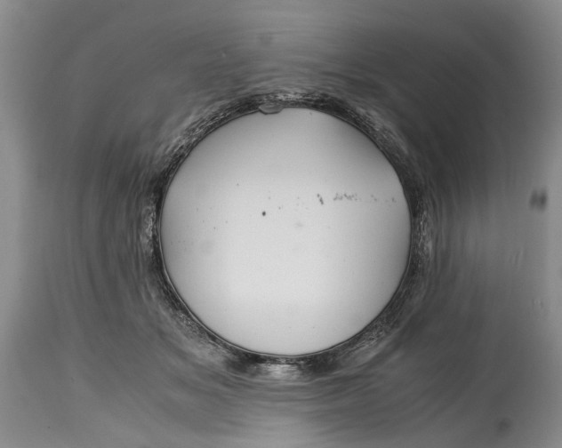 X0000114560509200911091221