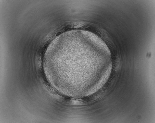X0000114560510200911091221