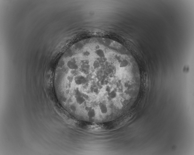 X0000114560511200911091221