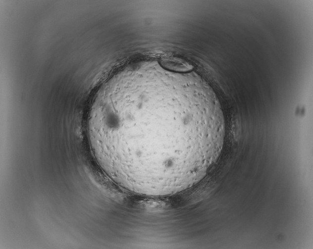 X0000114560512200911091221
