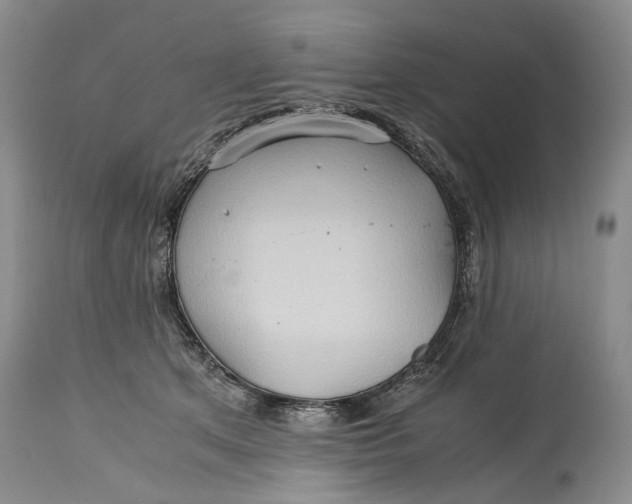 X0000114560513200911091221