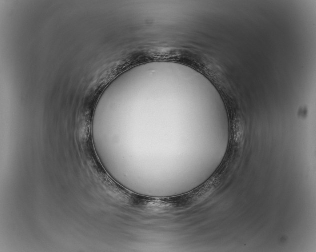 X0000114560515200911091221