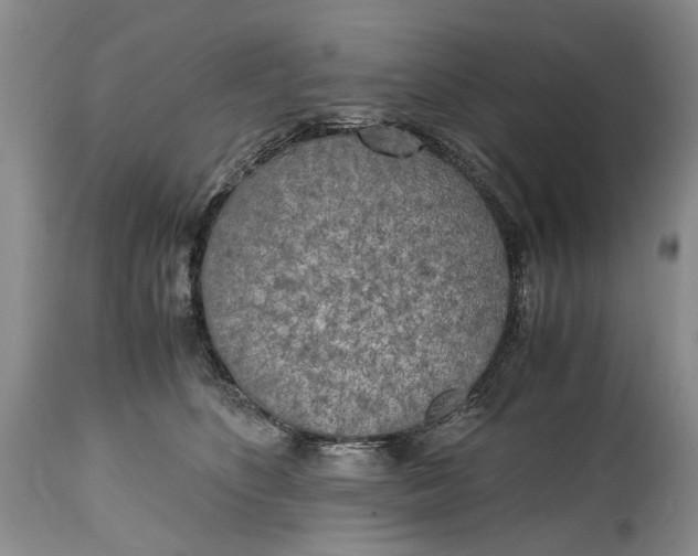 X0000114560516200911091221