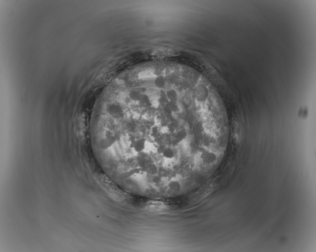 X0000114560519200911091221