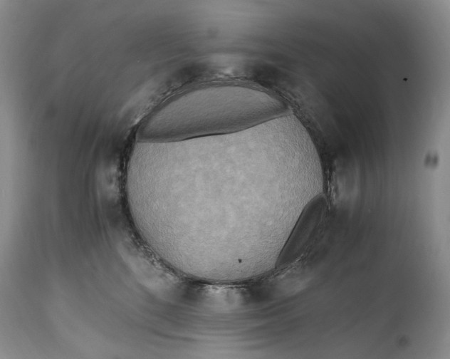 X0000114560520200911091221