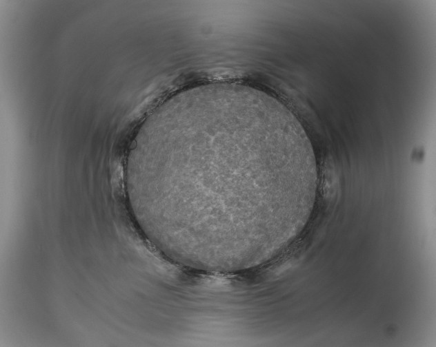 X0000114560523200911091221